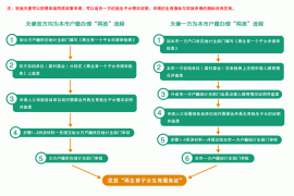 2014北京二胎生育新政策【转】